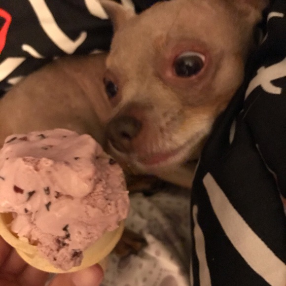 🐶3-21 COMMENTS FULL PLZ UNLIKE & LIKE THE NEW🙏 - Picture 15 of 16